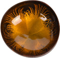ChezMax Natural Coconut Bowl with Mother of Pearl Inlays - Key Bowl & Fruit Snack Holder (Blue-Gold)